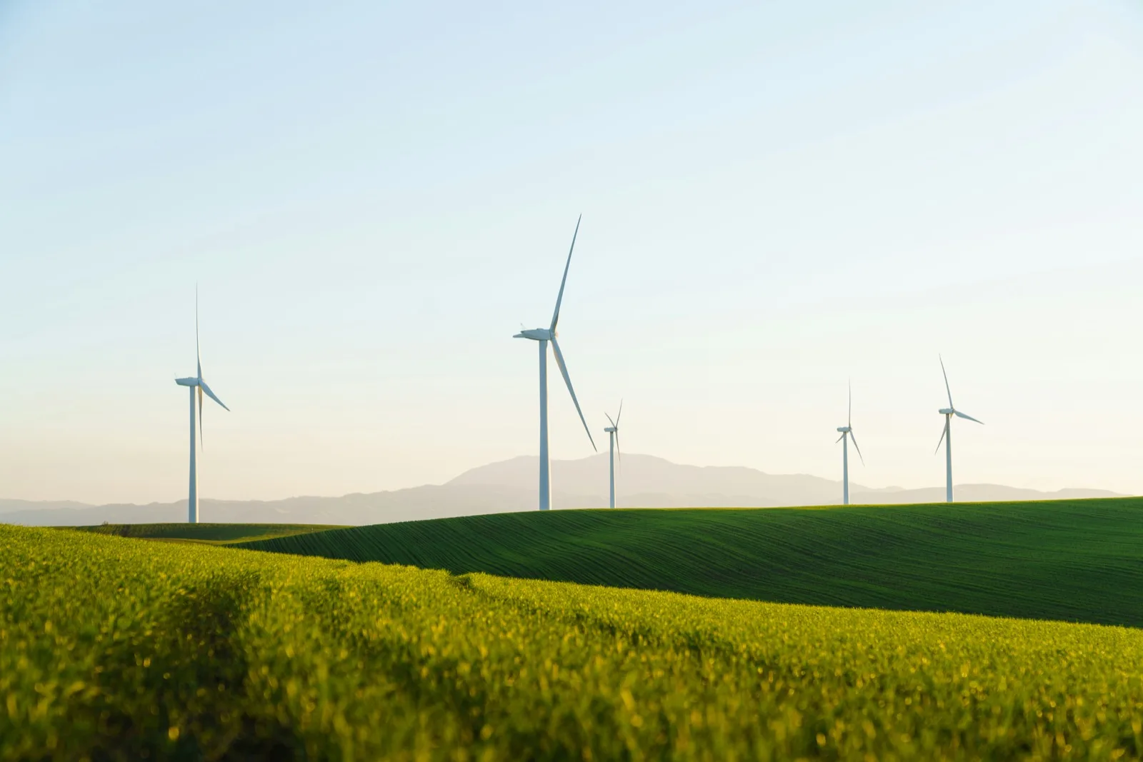 Wind turbines over green fields